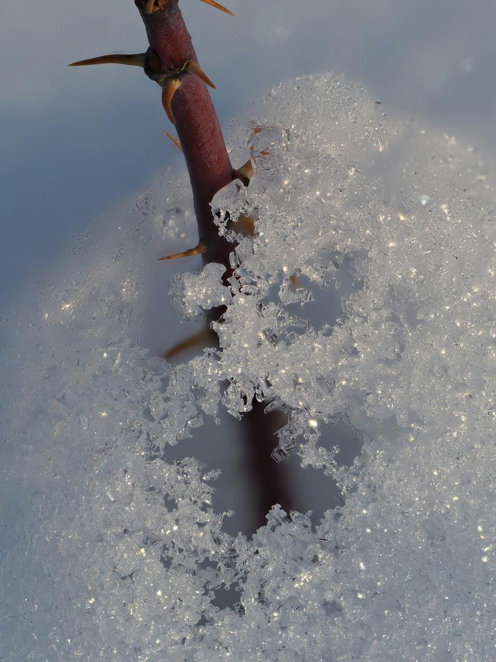 Ice Fishing Expeditions